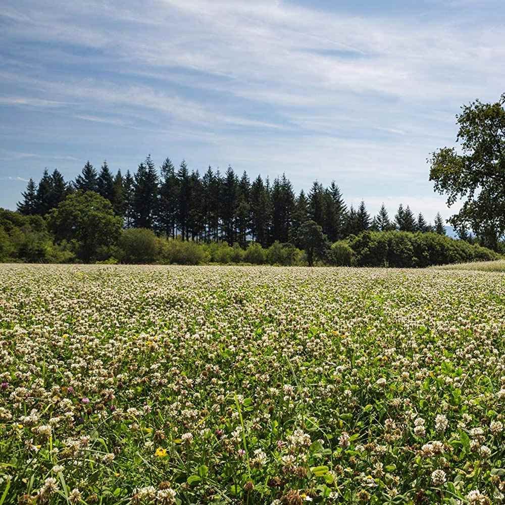 New Product News - Virginia Food Plots | Food Plot Seed