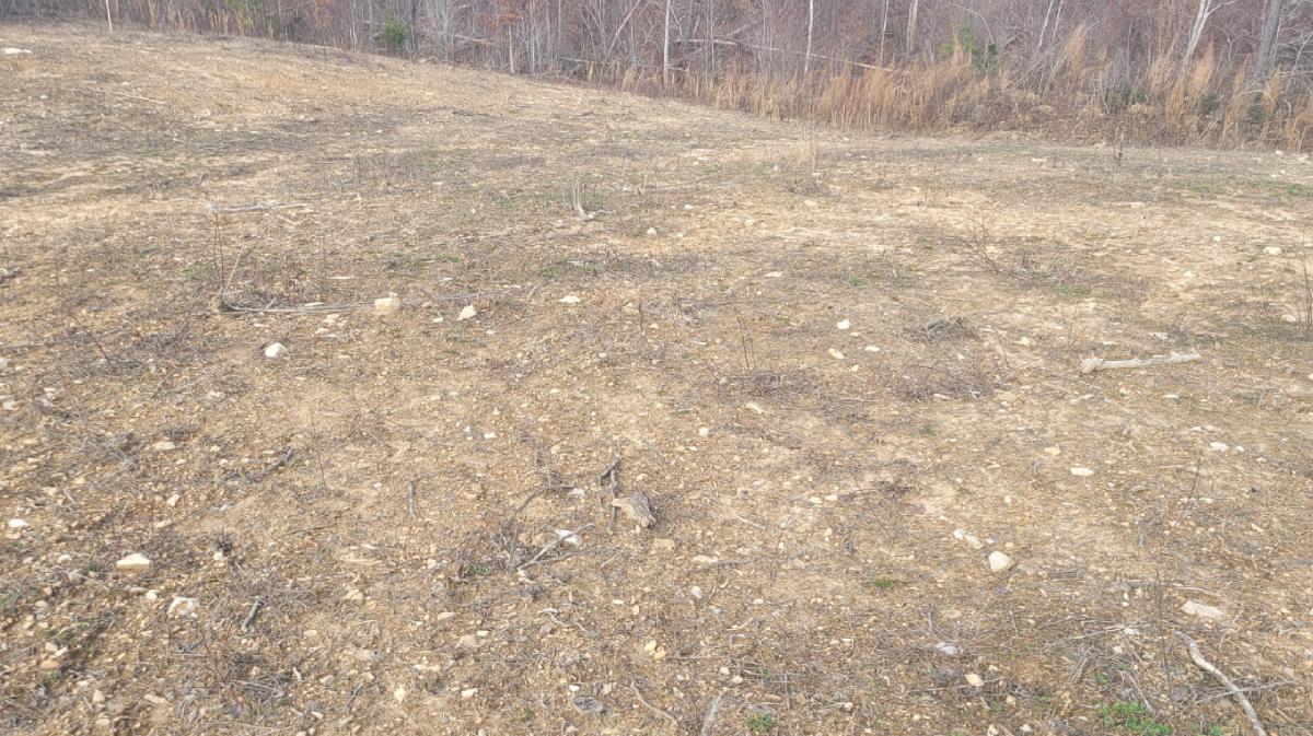 Soil Building - Virginia Food Plots | Keeping Food Plots Green