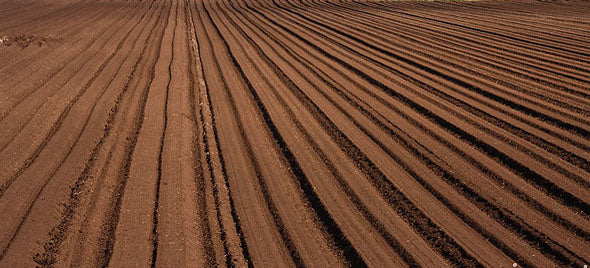 Seed and Soil Treatment