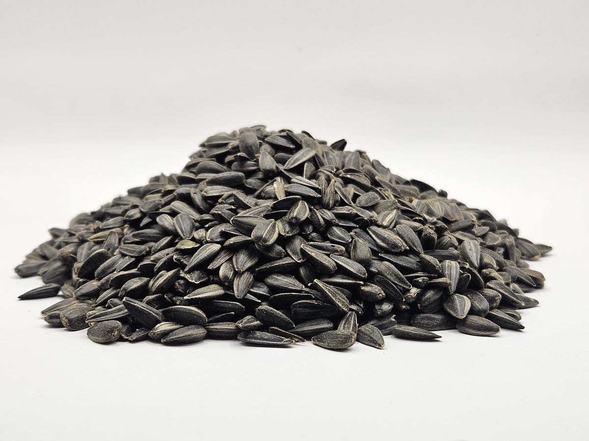 Peredovik Black Sunflower Seed