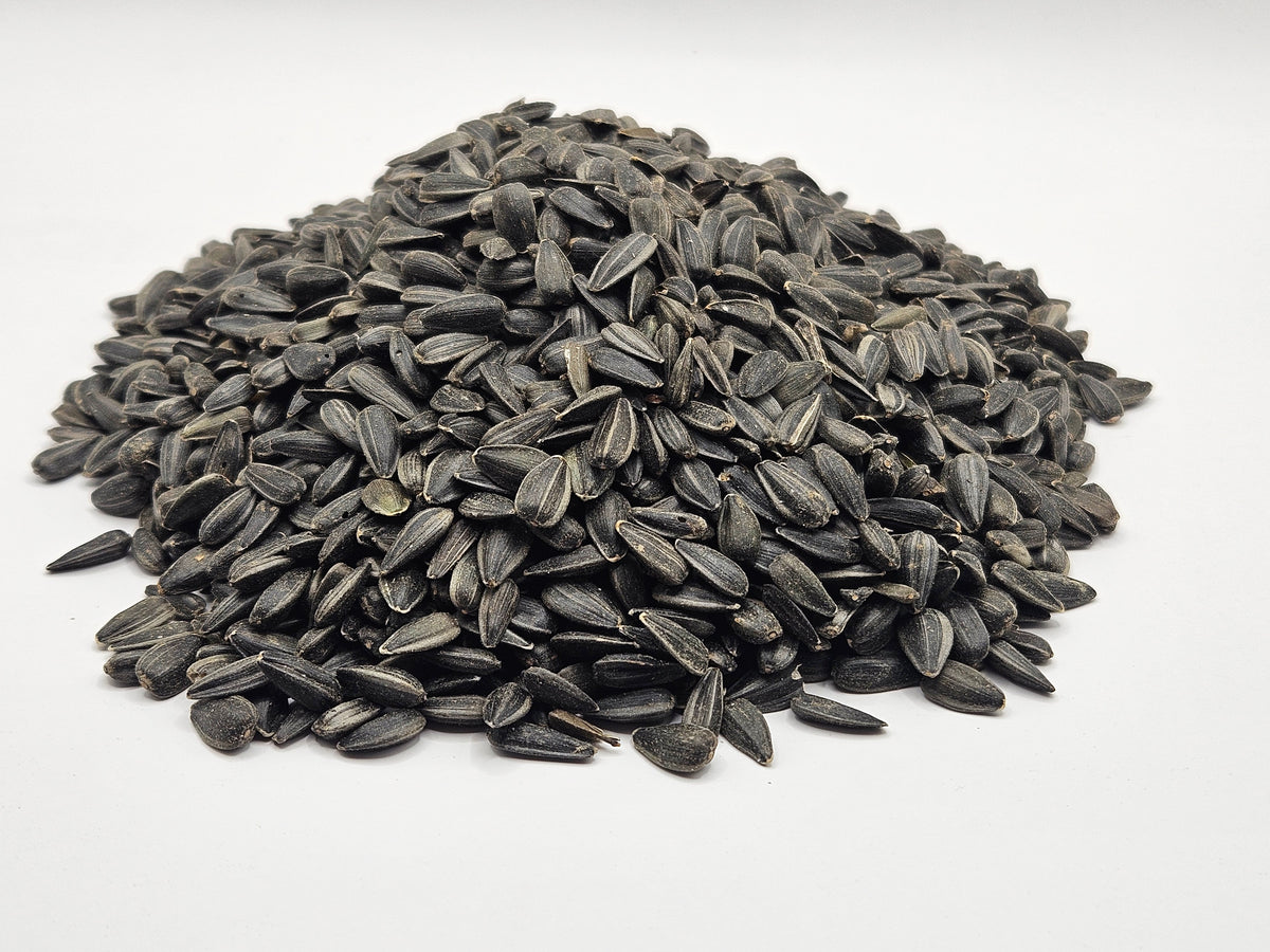 Peredovik Black Sunflower Seed