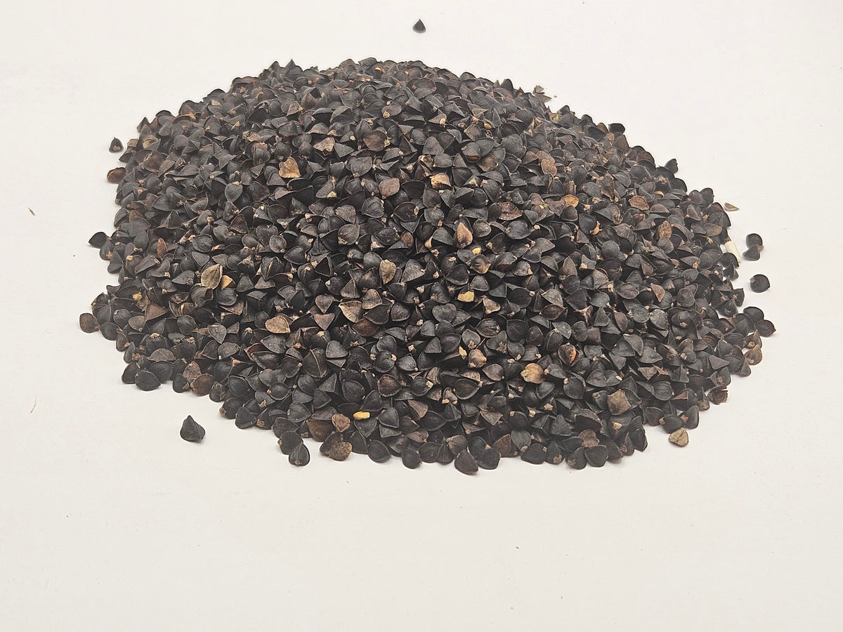 Koto Buckwheat Food Plot and Pollinator Seed