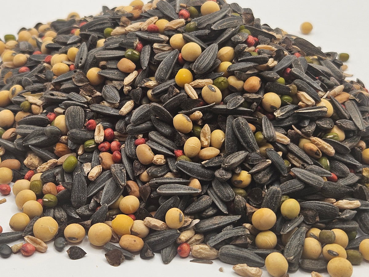 planting bird seed for food plots Gravel Grain Food Plot Seed Mix