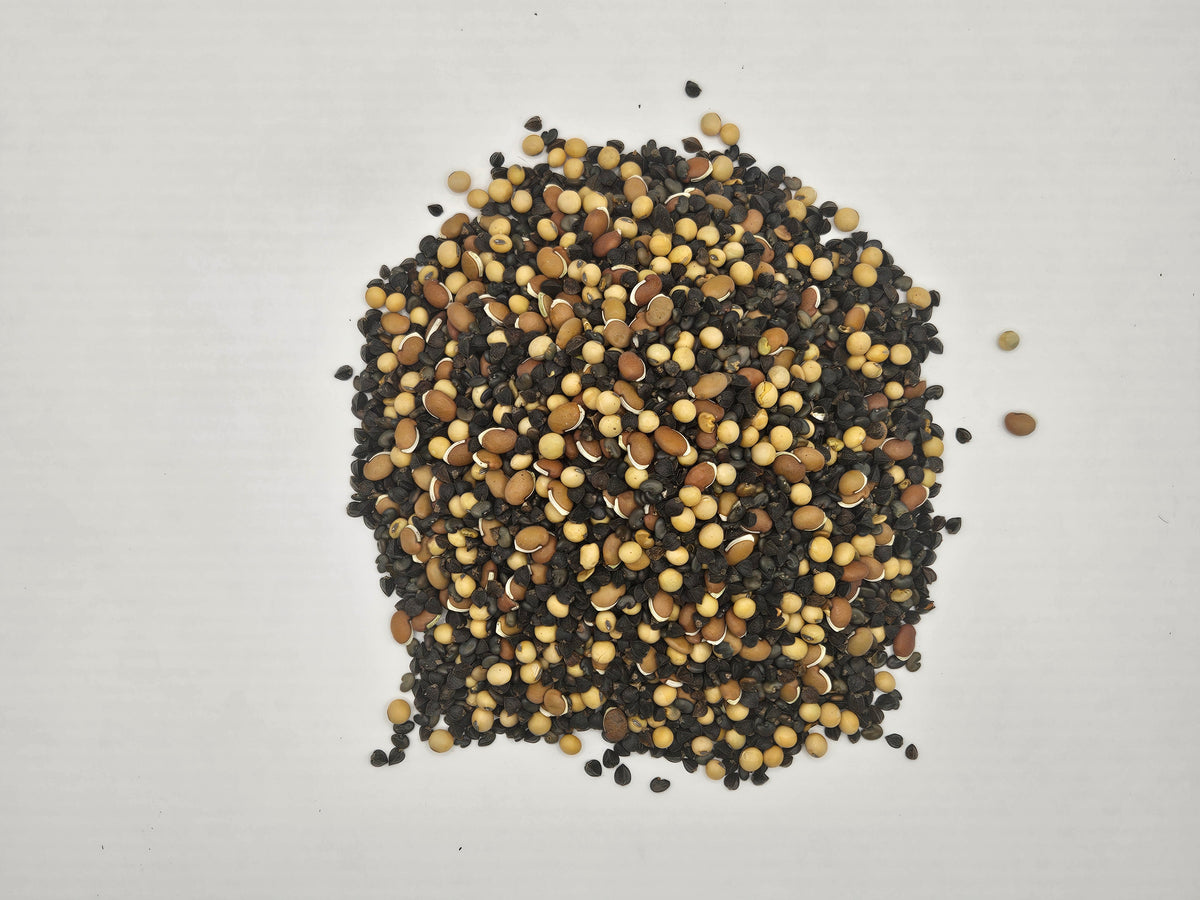 Soil RX Food Plot Seed Mix