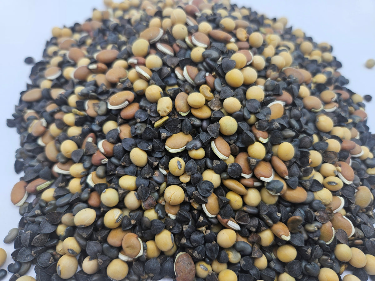 Soil RX Food Plot Seed Mix