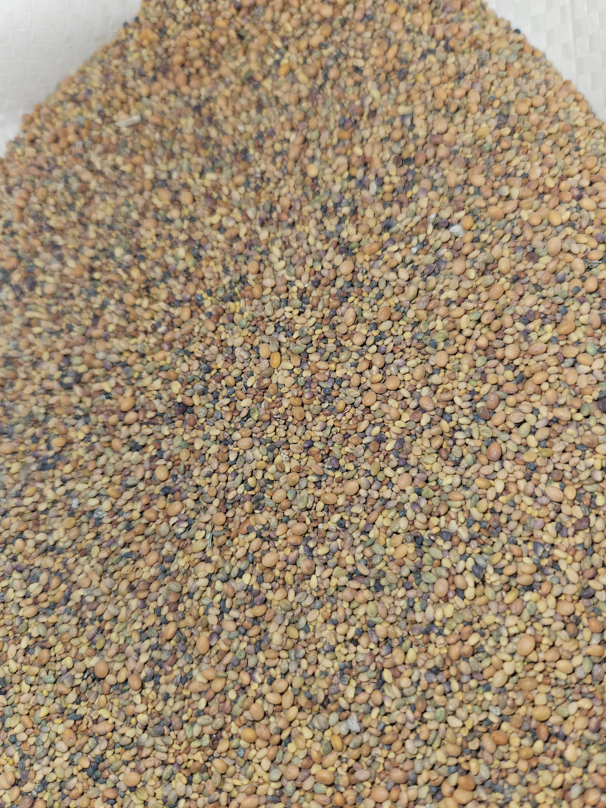 Just Clover Food Plot Seed Mix - Virginia Food Plots | Food Plot Seed